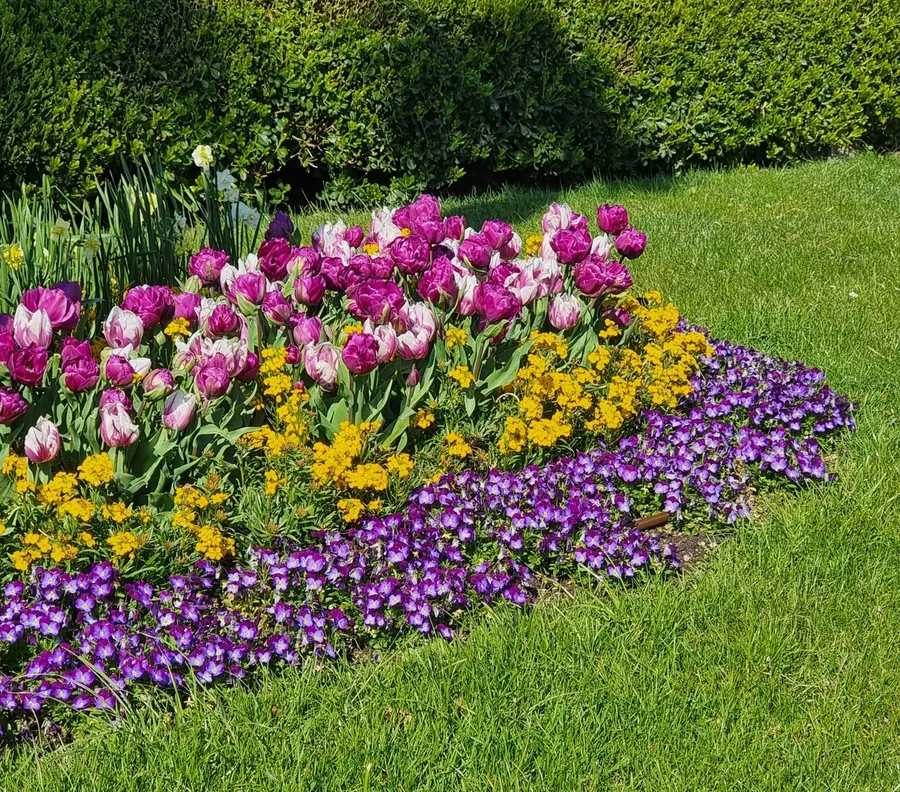 Full garden landscaping project completed by KCO Landscapes — project 4