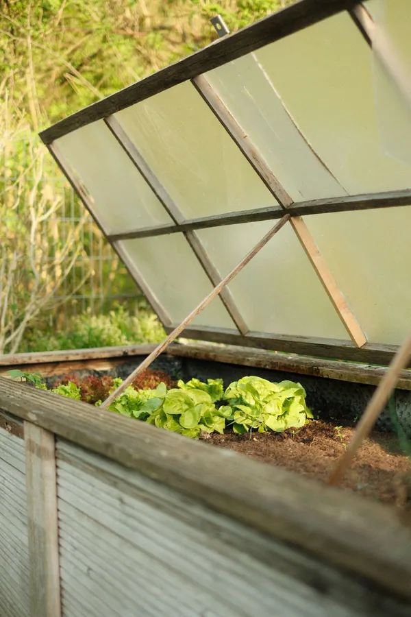 Raised beds and garden landscaping built by KCO Landscapes — project 2